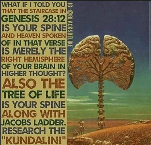 The very hidden purpose with Kundalini is; The central nervous system is reorganizing into a single brain structure. away from the dual brain and right and left body structure