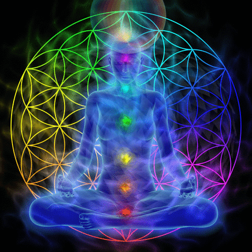 Kundalini is the primary life force within us, the primary evolutionary force, a sliver of the Absolute dwelling within the human body. Kundalini is sometimes referred to as the serpent power, portrayed as a snake coiled at the base of the spine. In fact, kundalini is a force within the human brain that activates the chakras; it is typically first felt at the base of the spine, in the first chakra. The Siva Samhita describes this when Siva says, “From the base or root of the palate, the sushumna extends downwards, till it reaches the Muladhara (first chakra) and the perineum . . .” (verse 121), and then in verse 124, “In that hole of the sushumna there dwells as its inner force the kundalini.” Kundalini is not a mystical snake; it is the primary psychobiological force. Kundalini is the energy that enlivens, vivifies, and motivates the body and mind. Kundalini is always active. It fuels the entire human energy system, causing life energy to circulate within us on a continual basis. For most people, the extent of kundalini activity is minimal, though it is always operating within us to some extent.