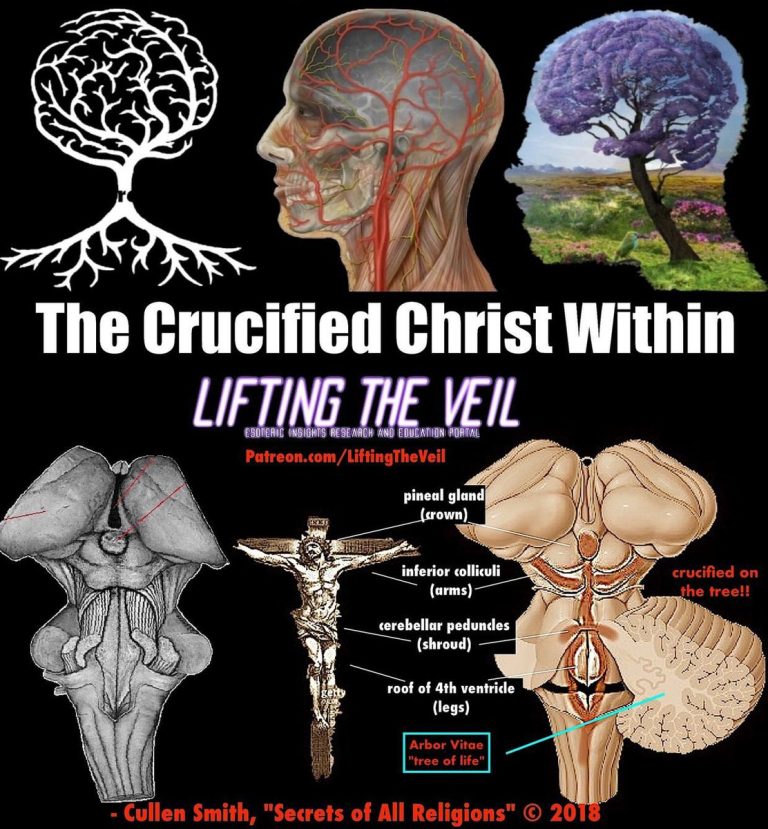 According to Christian alchemy, all three phases of the Great Work were played out in the last three days in the life of Jesus. The Black Phase of alchemy was Christ’s suffering on Calvary; the White Phase was his lingering death on the cross; and his resurrection was the perfection of his soul in the Red Phase of alchemy. The Gr. kranion, Heb. golgotha, Lat. calvaria, Eng. “skulL” “crucifixion” takes place in the brain. In Christ, Death becomes Life.