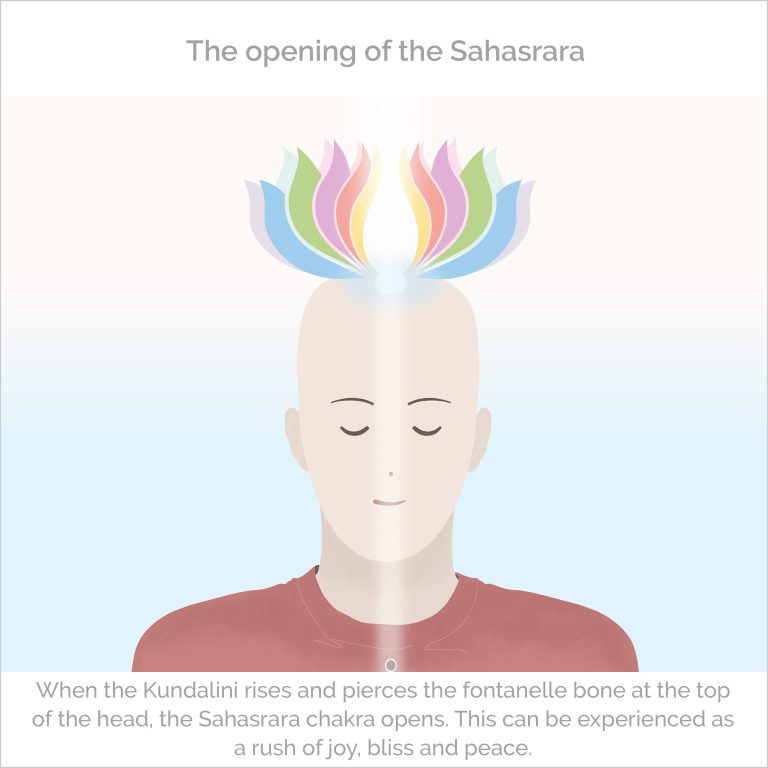 That aspect of Kundalini as well that is resident in the human physical frame, would be resonant with the concept of the Second Adam. That Kundalini in man is typically dormant normally. Kundalini – Opening for us the dimension of the spontaneous synthesis between the Finite and the Infinite, thus completing the grand task of the previous incarnations. Indeed, the opening of the fontanel bone at the top of the brain) by the thing Kundalini is the opening of the egg’s shell: the new man, the new Adam is born. Redemption time occurs when the Kundalini pierces the fontanel bone at the top of the brain